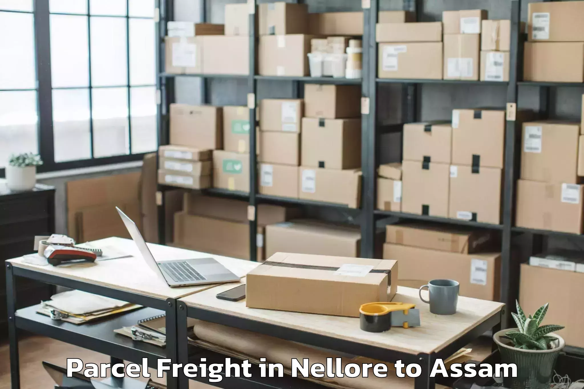 Nellore to Bilasipara Pt Parcel Freight Booking